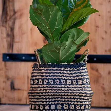 Сasa de vacaciones Chora